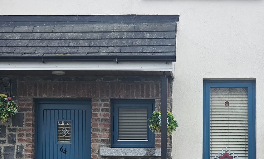 Painting pictures(5)